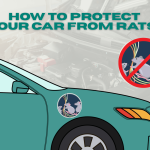 How to Protect Your Car from Rats